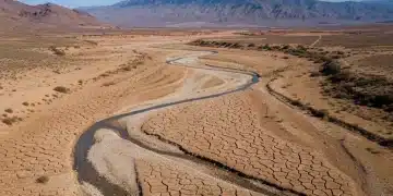 Dry, cracked earth in Southern Spain affected by severe drought conditions.